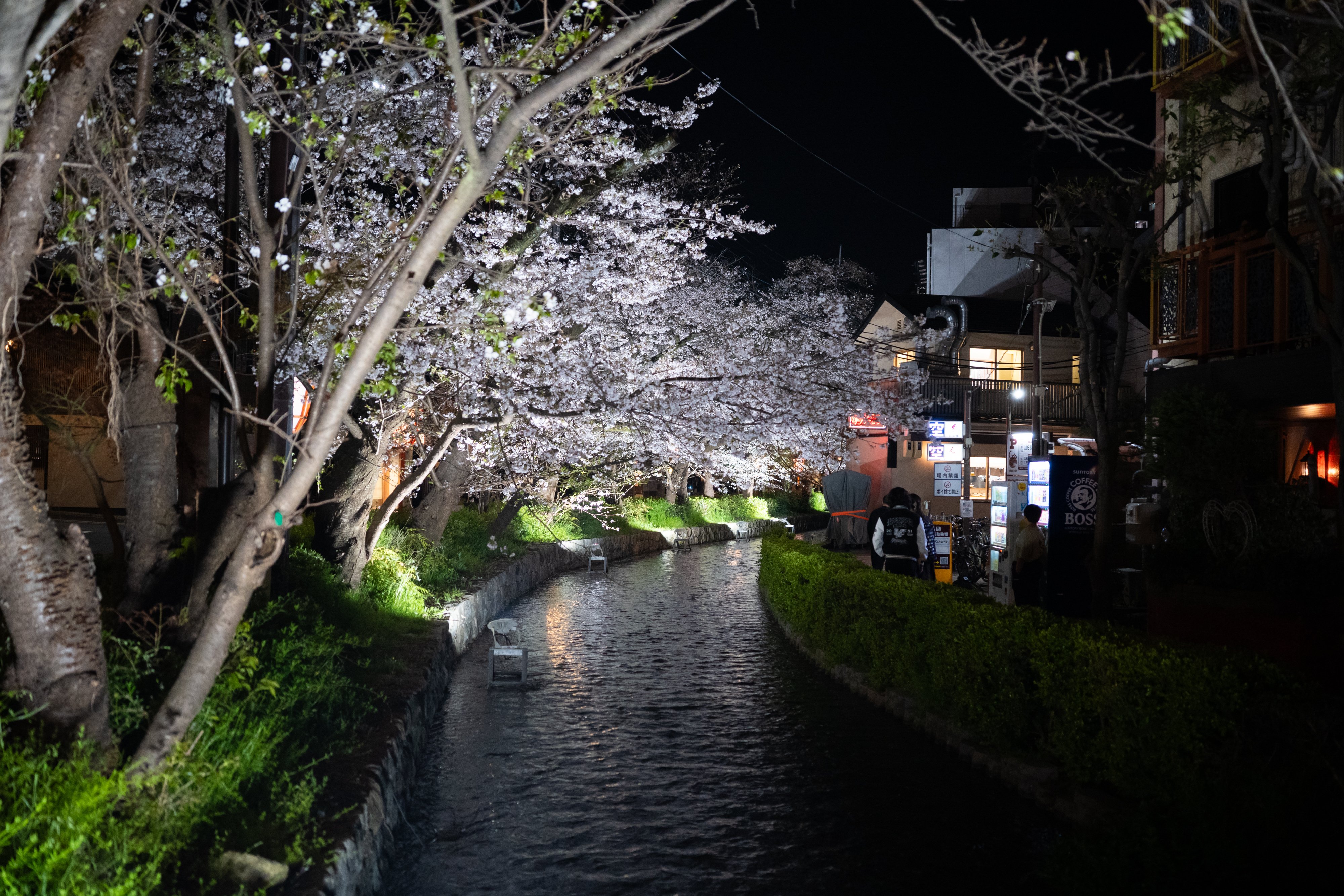 木屋町の夜