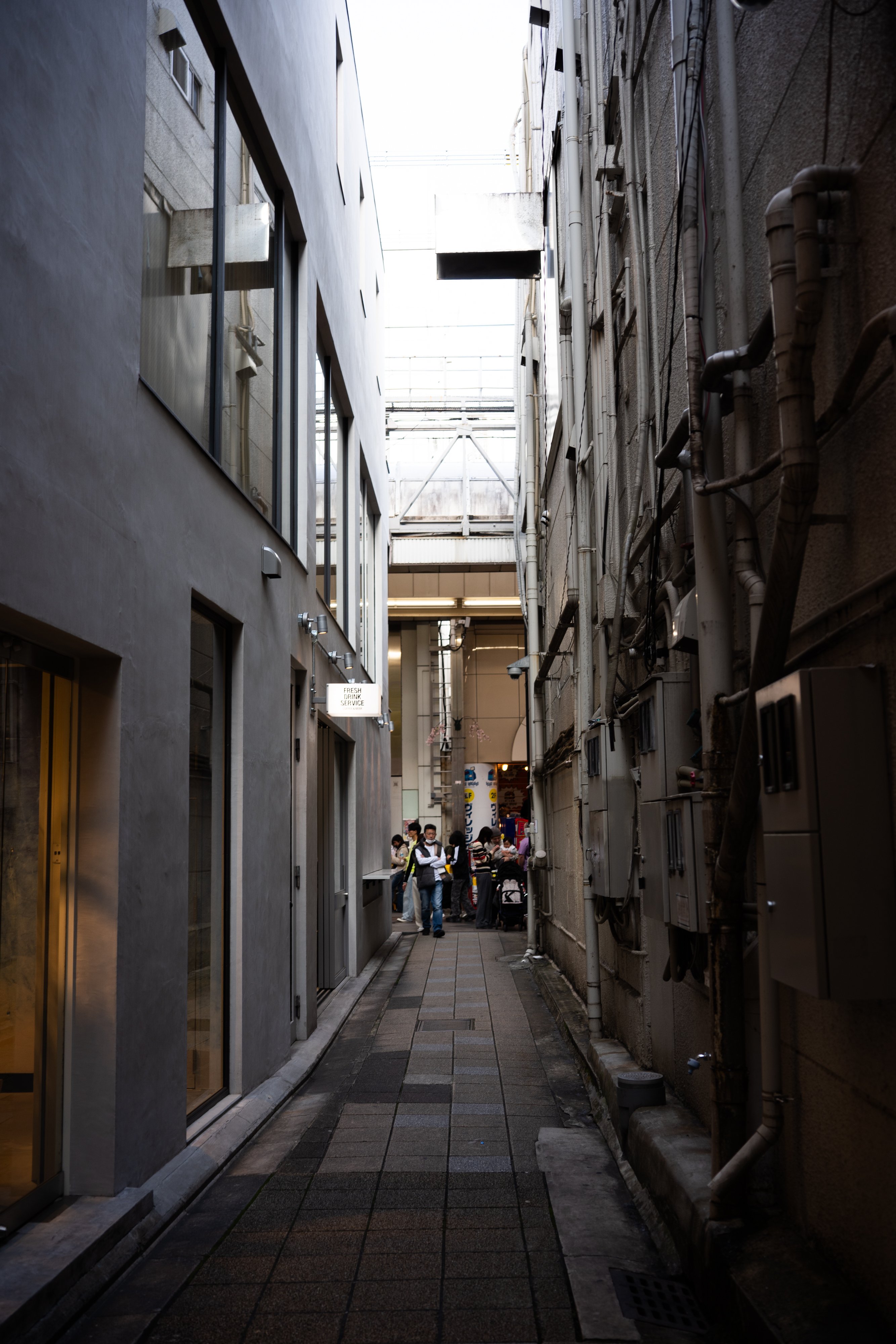 高瀬川沿いの朝