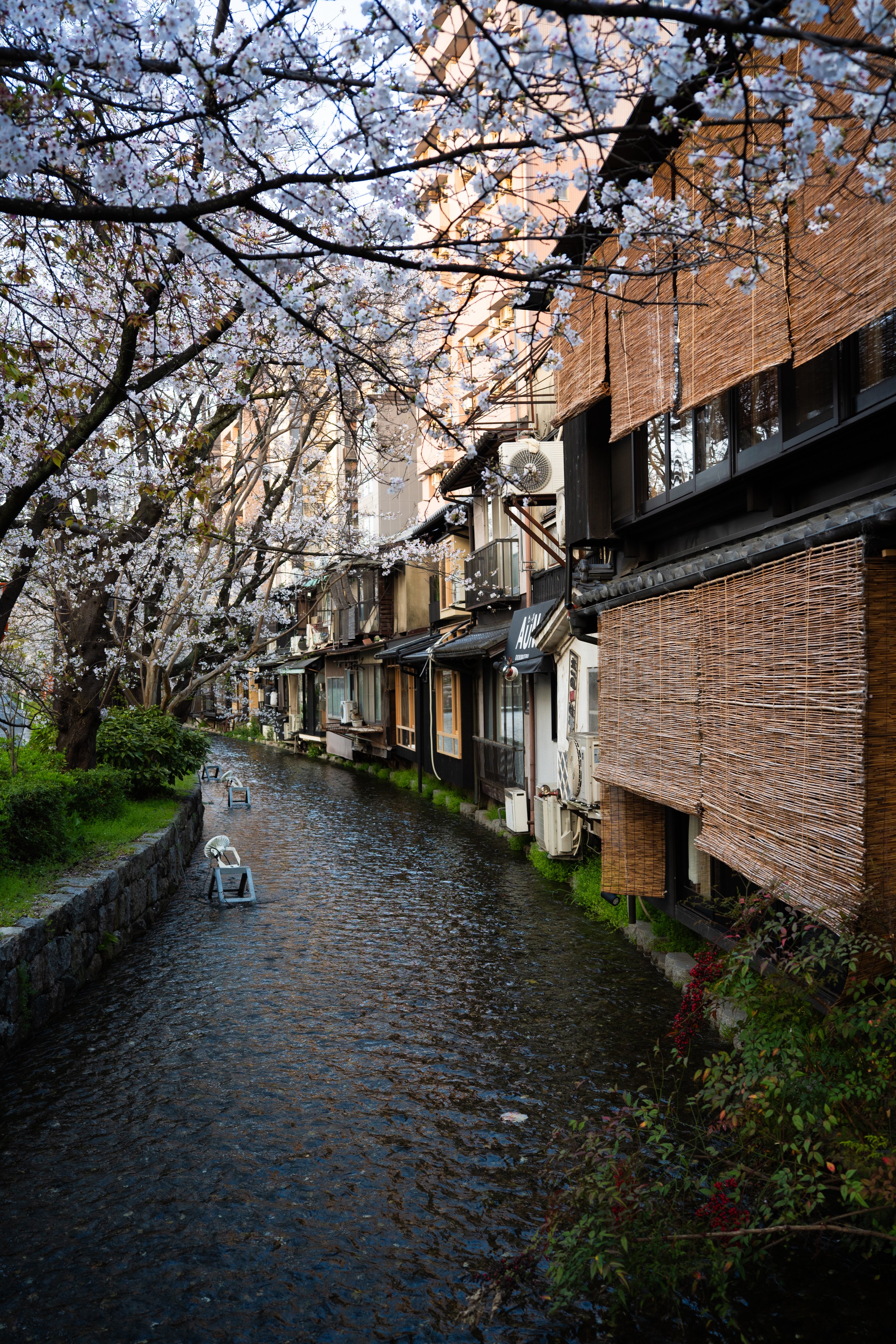 京都駅周辺